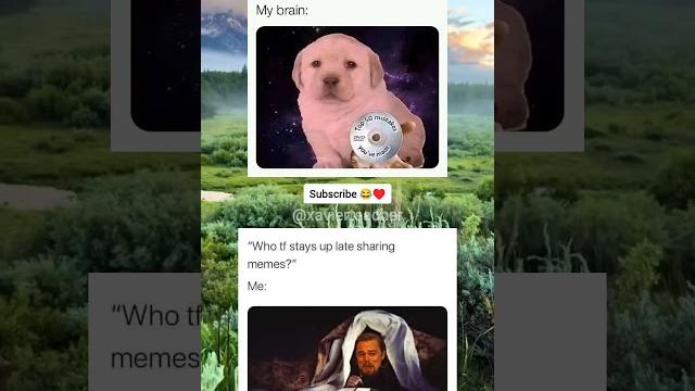 Life memes Life memes