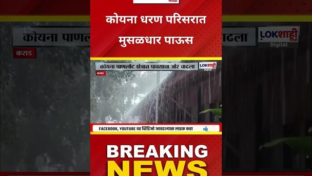 Heavy rain in koyna dam area: कोयना धरण परिसरात जोरदार पाऊस; तब्ब्ल 2 टीएमसी पाण्याची आवक Heavy rain in koyna dam area: कोयना धरण परिसरात जोरदार पाऊस; तब्ब्ल 2 टीएमसी पाण्याची आवक