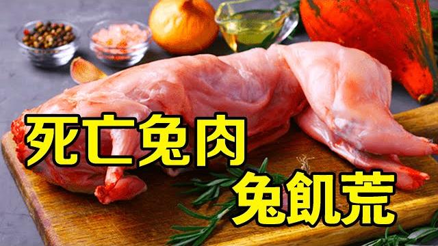 【兔飢荒】一直吃兔肉會被餓死? !這是什麼原理?丨萬物深藍 【兔飢荒】一直吃兔肉會被餓死? !這是什麼原理?丨萬物深藍