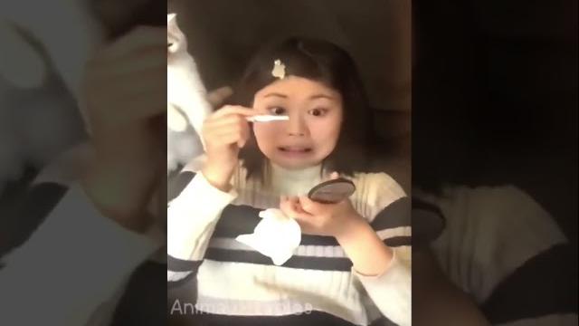 Katchat Katchat