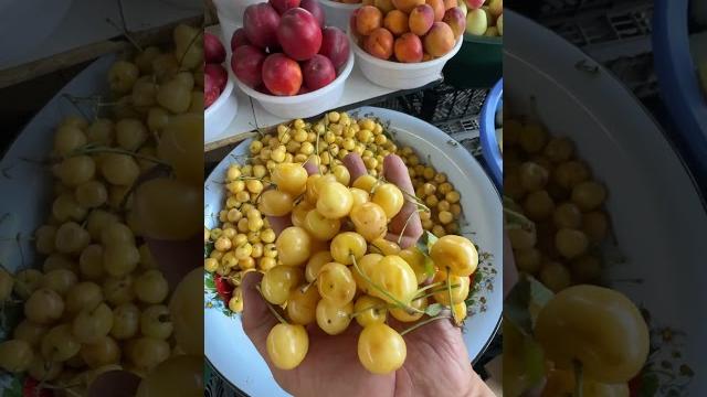 Urganch dehqon bozor narxlari Urganch dehqon bozor narxlari