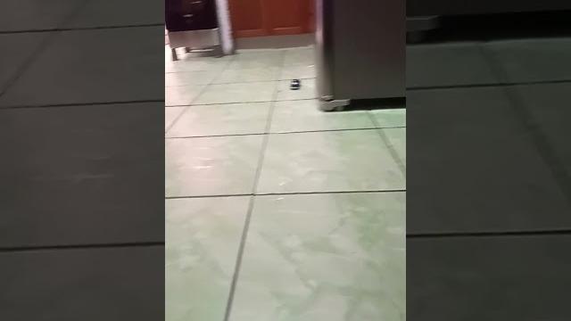 Fuscão preto Fuscão preto