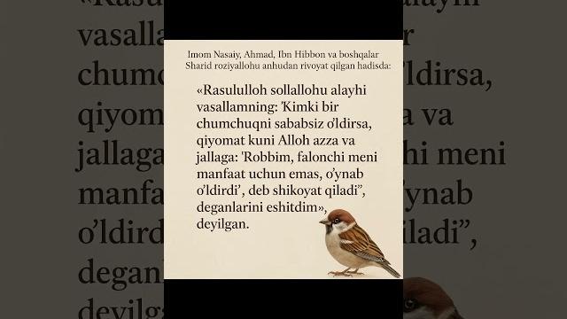#muhammad #islam #shorts #iymon #muhammad #islam #shorts #iymon