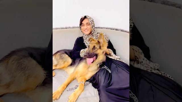 لما تجيب لامك كلب البيت #القيصر لما تجيب لامك كلب البيت #القيصر