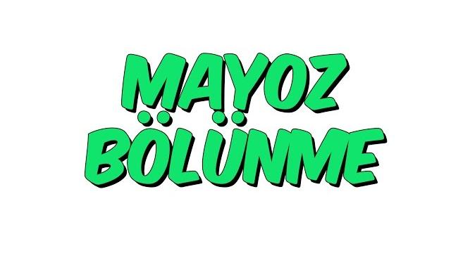 7.sınıf fen bilimleri | mayoz bölünme 7.sınıf fen bilimleri | mayoz bölünme
