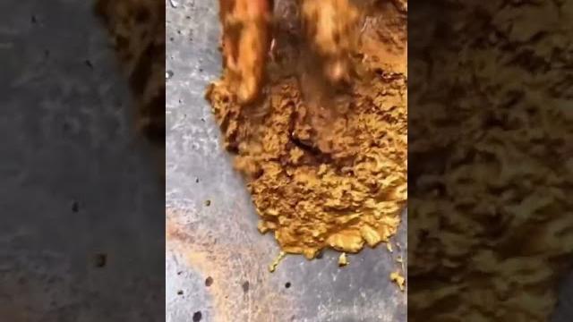 Is that poop #funny #poop #shorts #food Is that poop #funny #poop #shorts #food