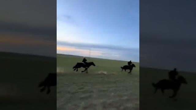 Kyrgyzstan #kyrgyzstan #horse #rider #kazakhstan #uzbekistan #russia #казахстан #кыргызстан Kyrgyzstan #kyrgyzstan #horse #rider #kazakhstan #uzbekistan #russia #казахстан #кыргызстан