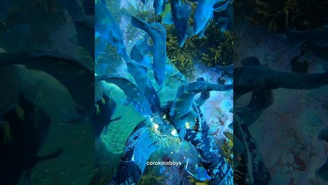 Just wiped out the whole family tree #kina #pestcontrol #asmr Just wiped out the whole family tree #kina #pestcontrol #asmr