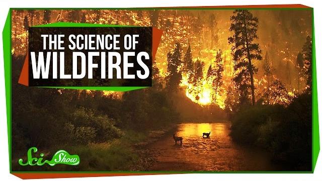 The science of wildfires The science of wildfires