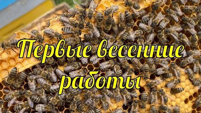 Первые весенние работы!!! повторный облёт!!! Первые весенние работы!!! повторный облёт!!!