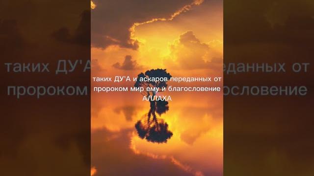 Тому, кто скажет эти слова, аллах простит его грехи. Тому, кто скажет эти слова, аллах простит его грехи.