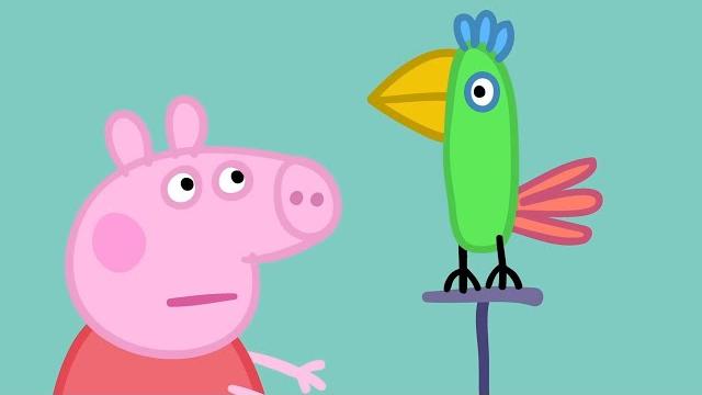 Heo peppa | con vẹt ngốc nghếch | phim hoạt hình cho trẻ em Heo peppa | con vẹt ngốc nghếch | phim hoạt hình cho trẻ em