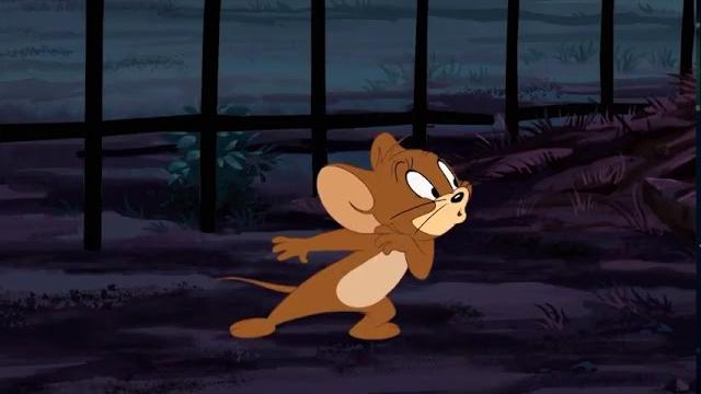 Tom end jerry | gizemli ev Tom end jerry | gizemli ev