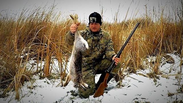 Охота на зайца. тропление зайца по первому снегу. необычная находка. сезон 2017 - 2018. иж-43 Охота на зайца. тропление зайца по первому снегу. необычная находка. сезон 2017 - 2018. иж-43