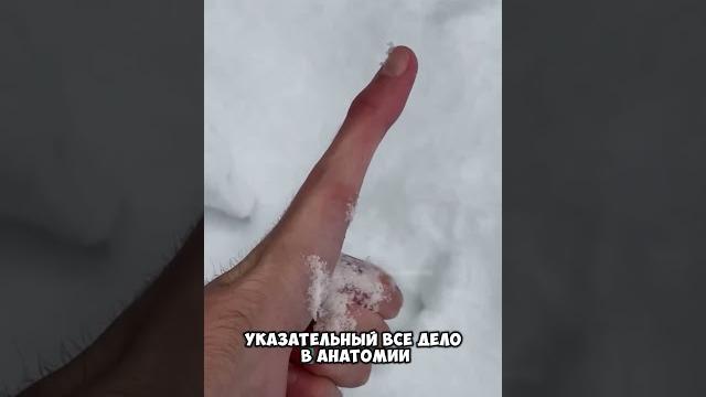Видели такой палец Видели такой палец