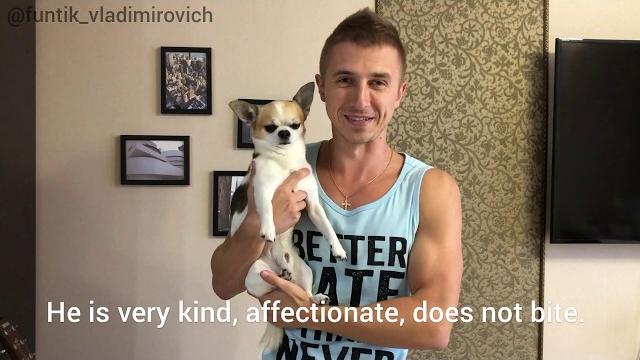 Самая умная собака в мире (the smartest dog in the world) Самая умная собака в мире (the smartest dog in the world)