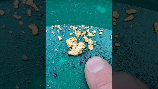 Beautiful gold on the river! Beautiful gold on the river!