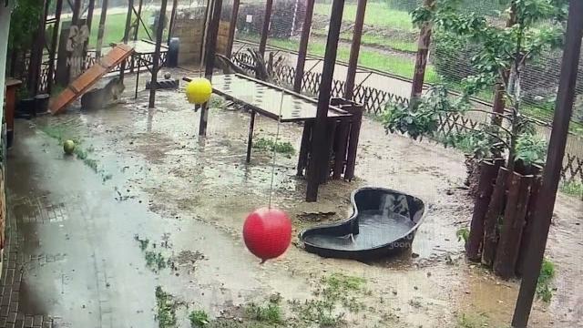 Опять дождь... (на улице дождь любовь долинова, выглянуло солнышко из за серых туч. вадим борисов ) Опять дождь... (на улице дождь любовь долинова, выглянуло солнышко из за серых туч. вадим борисов )
