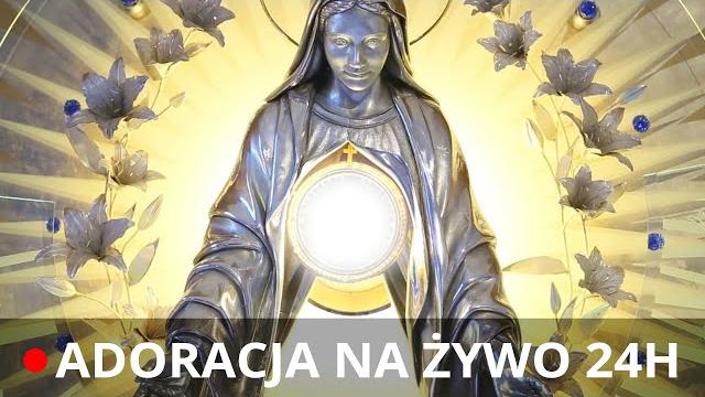 Ewtn polska | adoracja z niepokalanowa Ewtn polska | adoracja z niepokalanowa