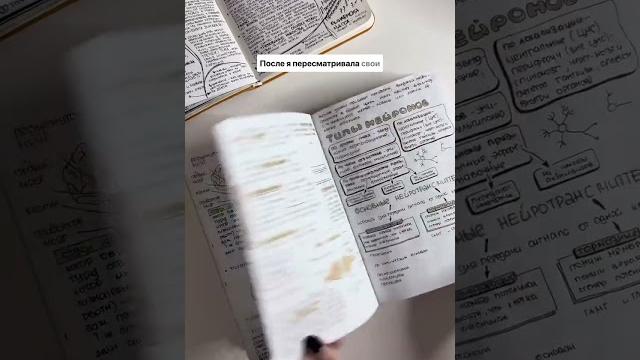Как я перешла на печатные буквы Как я перешла на печатные буквы