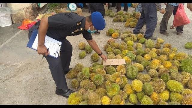 Awas jika tipu timbangan durian Awas jika tipu timbangan durian