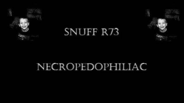 Snuff r73 review Snuff r73 review