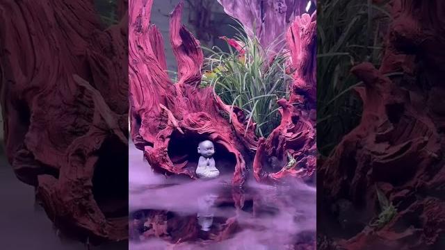 🪷 с чем у вас ассоциируется этот аквариум? 🪷 с чем у вас ассоциируется этот аквариум?