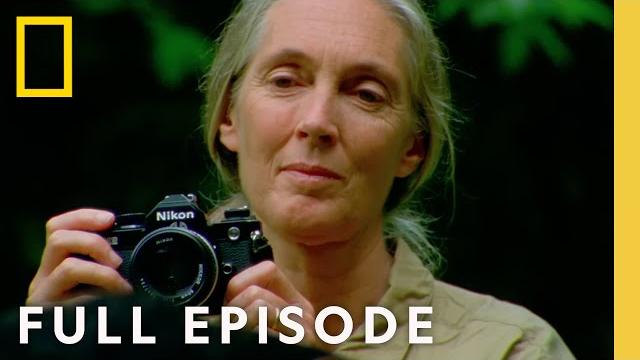 Jane goodall: an inside look (full episode) | national geographic Jane goodall: an inside look (full episode) | national geographic