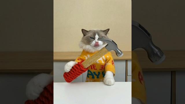 Working in asmr mode | that little puff Working in asmr mode | that little puff