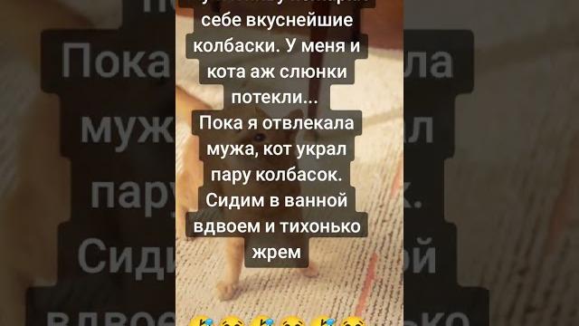 Анекдоты, которые смешат до слёз #юмор Анекдоты, которые смешат до слёз #юмор