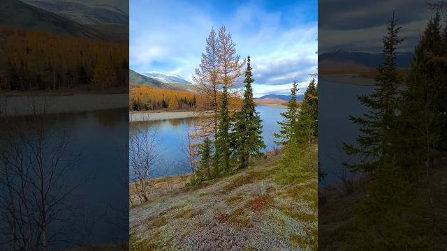 Река собь. полярный урал. невероятная осень северных регионов россии. #природа #природароссии #собь Река собь. полярный урал. невероятная осень северных регионов россии. #природа #природароссии #собь