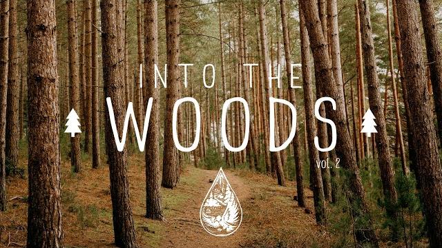 Into the woods - a mysterious indie/folk/pop playlist | vol. 2 Into the woods - a mysterious indie/folk/pop playlist | vol. 2
