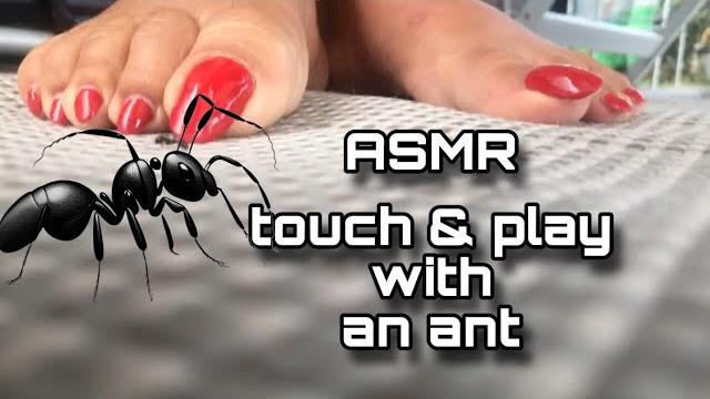 Asmr feet with red nail polish touch and play an ant Asmr feet with red nail polish touch and play an ant