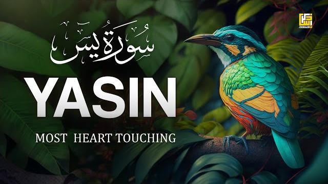 World's most beautiful quran recitation of surah yasin (yaseen) سورة يس | zikrullah tv World's most beautiful quran recitation of surah yasin (yaseen) سورة يس | zikrullah tv