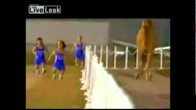 4 midgets race a camel (w/ super mario bros. sounds) 4 midgets race a camel (w/ super mario bros. sounds)