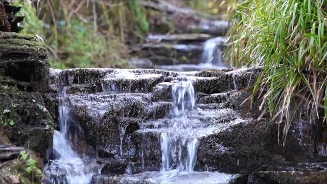 8 hours relaxing waterfall nature sounds calming birdsong sound of water forest relaxation 8 hours relaxing waterfall nature sounds calming birdsong sound of water forest relaxation