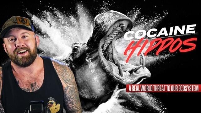 Pablo escobar’s hippos might cause the apocalypse Pablo escobar’s hippos might cause the apocalypse