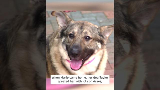 Woman lost limbs after dog licked her #shorts Woman lost limbs after dog licked her #shorts