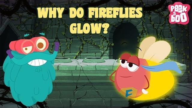 Fireflies | the dr. binocs show | best learning video for kids by peekaboo kidz | education video Fireflies | the dr. binocs show | best learning video for kids by peekaboo kidz | education video