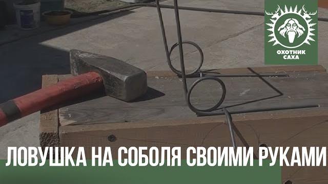 Ловушка на соболя своими руками Ловушка на соболя своими руками