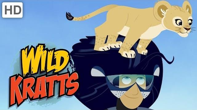 Wild kratts - lion king and queen of the jungle | kids videos Wild kratts - lion king and queen of the jungle | kids videos