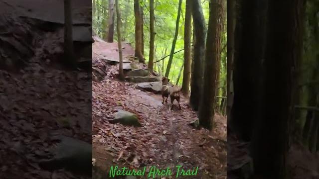 Natural arch trail. babcock state park Natural arch trail. babcock state park