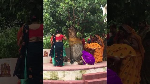Vart savitri #puja #sawan #savitri #public Vart savitri #puja #sawan #savitri #public