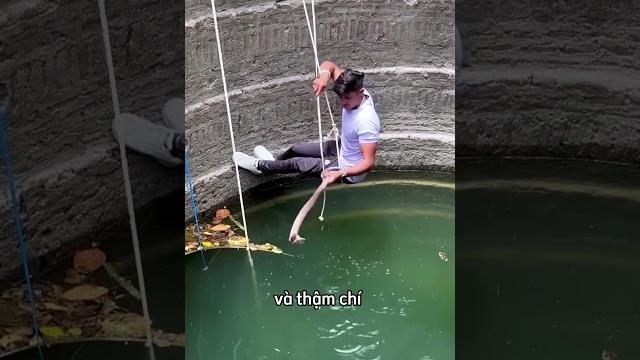 Mọi người thách thức anh ta bắt rắn dưới giếng #shorts Mọi người thách thức anh ta bắt rắn dưới giếng #shorts