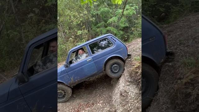 Нива Нива