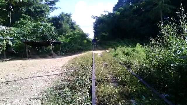 Бамбуковый поезд в камбодже Бамбуковый поезд в камбодже