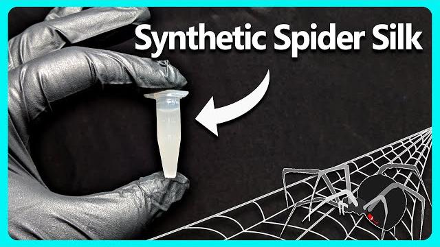 I grew real spider silk using yeast I grew real spider silk using yeast