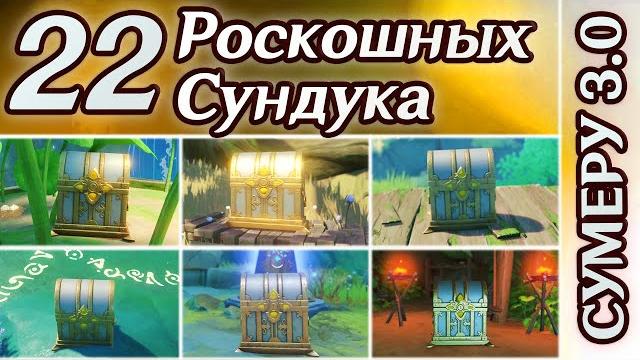 Все роскошные сундуки сумеру. скрытый роскошный сундук. загадка с роскошным сундуком |genshin impact Все роскошные сундуки сумеру. скрытый роскошный сундук. загадка с роскошным сундуком |genshin impact