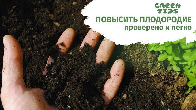 Почва - как повысить плодородие почвы Почва - как повысить плодородие почвы