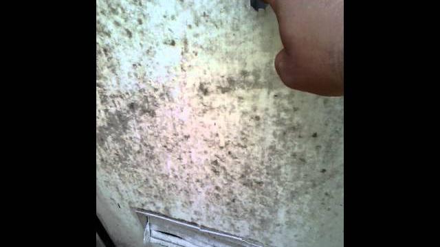 Intip abg pipis di wc umum Intip abg pipis di wc umum